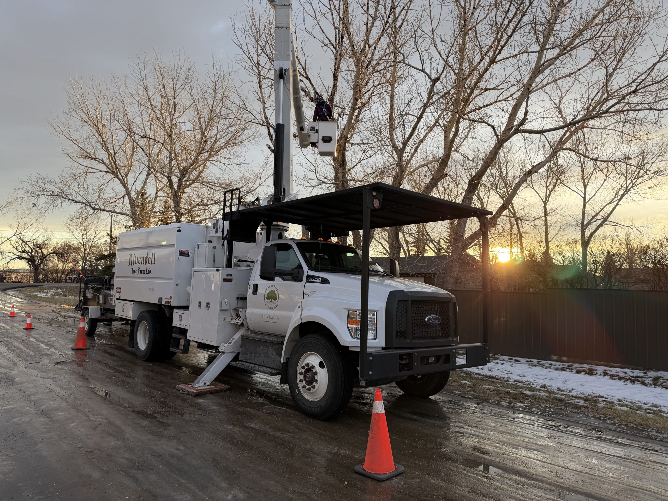 arborist services in medicine hat